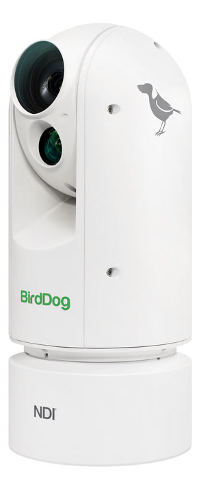 BirdDog Eyes A300 Gen 2 IP67 Extreme Weatherproof Full NDI PTZ Camera