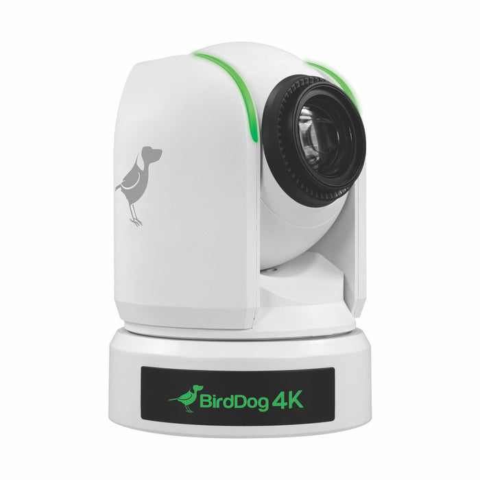 BirdDog P4K 4K Full NDI PTZ Camera with 1" Sony Sensor