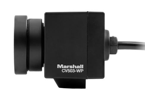 Cámara Miniatura Marshall CV503-WP