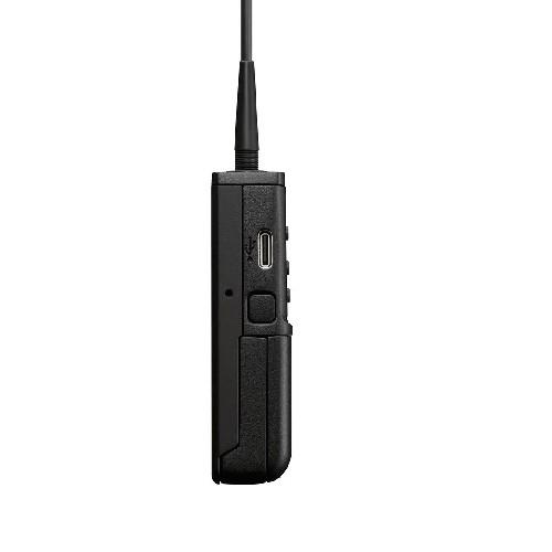 Micrófono Inalámbrico Sony UWP-D21
